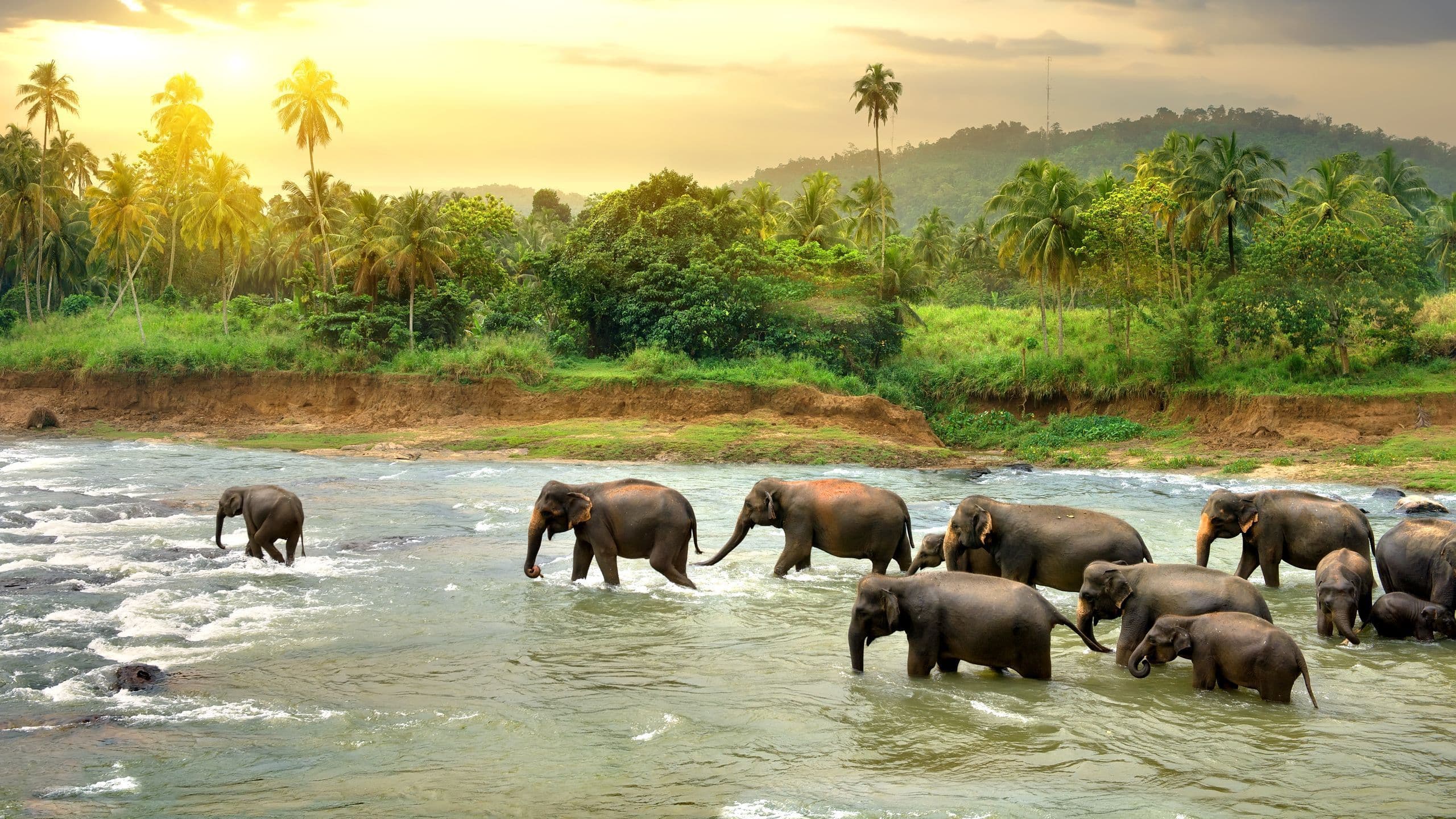 View 1 of Sri Lanka 2026
