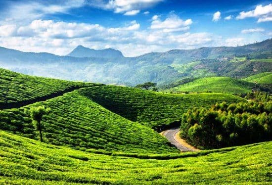 View 1 of Romantic Escape to Munnar
