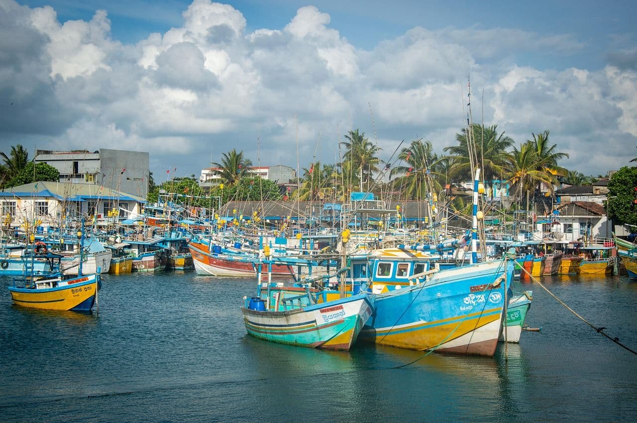 View 1 of Sri Lanka 10-Day Package| Ancient Kings, Tea and Wild Leopards
