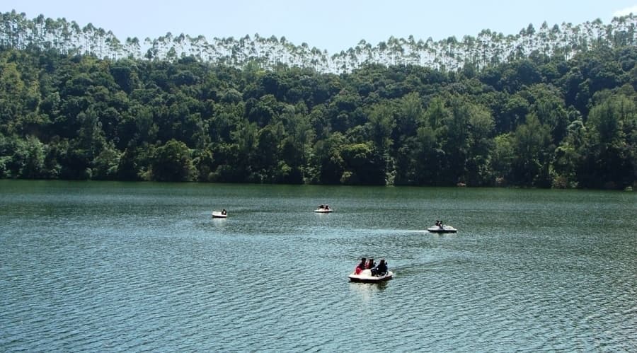 Kerala Escapades | Tranquil Backwaters, Verdant Hills, and Coconut Groves