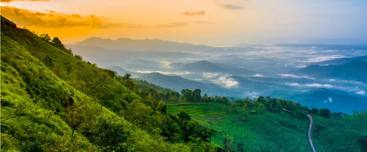 View 1 of Weekend Getaway to Kerala | Explore the Misty Hills & Serene Backwaters