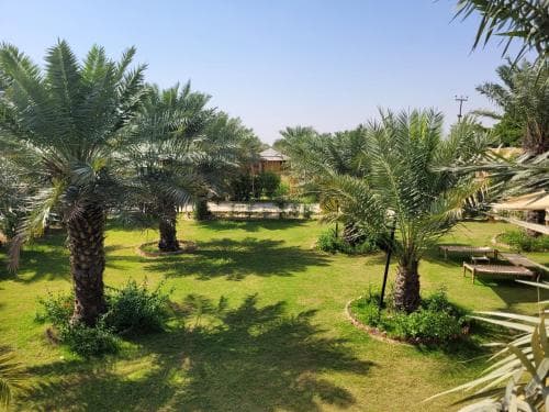 Rajasthan Heritage Journey | Exploring Timeless Treasures