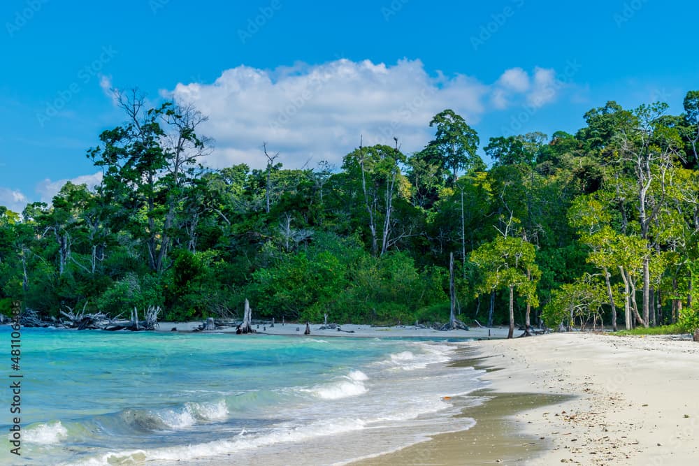 View 1 of Comprehensive 7-Day Andaman Explorer: Port Blair, Neil & Havelock