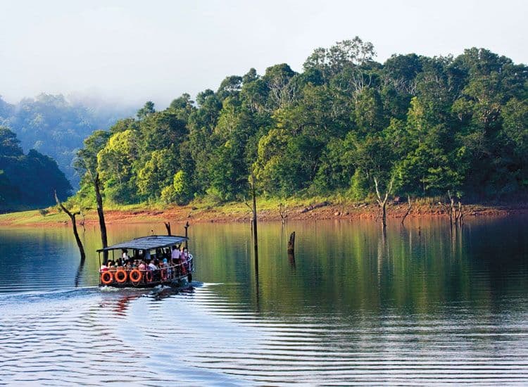 Kerala Group Tour Package | Complimentary Visit to Periyar National Park