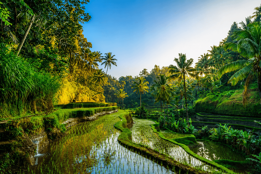 Bali Group Tour 2026 | 7-Day Beach, Temples & Adventure Package