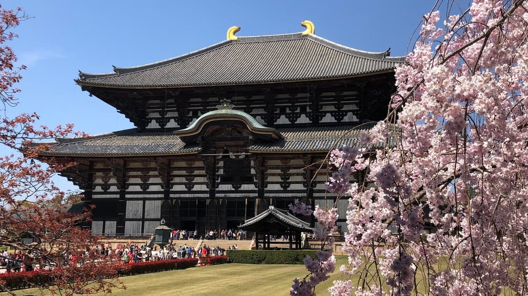 Scenic Journey through Japan | A Blend of Timeless Traditions & Contemporary Marvels