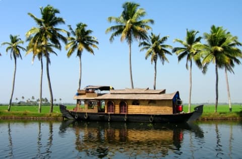 Weekend Getaway to Kerala | Explore the Misty Hills & Serene Backwaters