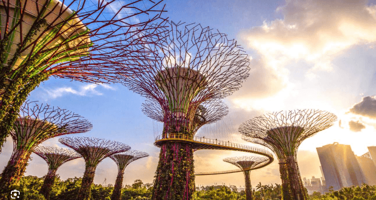 Singapore Fusion | Urban Wonders & Seaside Serenity