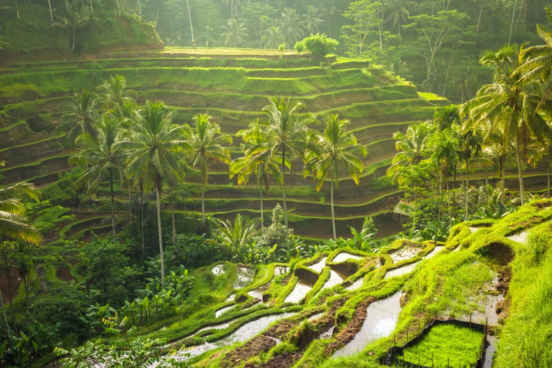 Bali Romantic Escape | From Sacred Temples to Tranquil Beaches