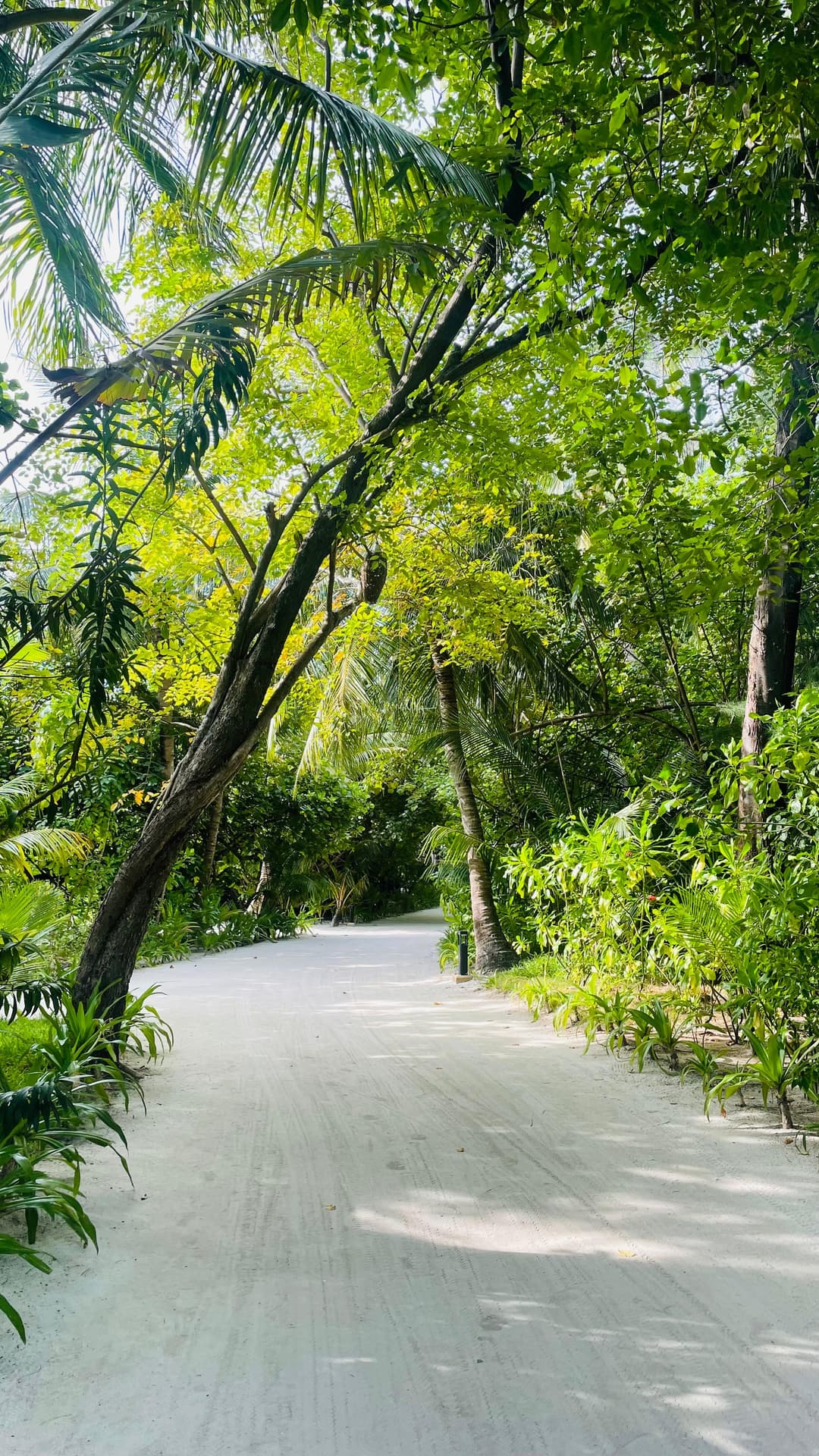 Villa Park Sun Island Maldives Tour | 5-Day 2026 Package