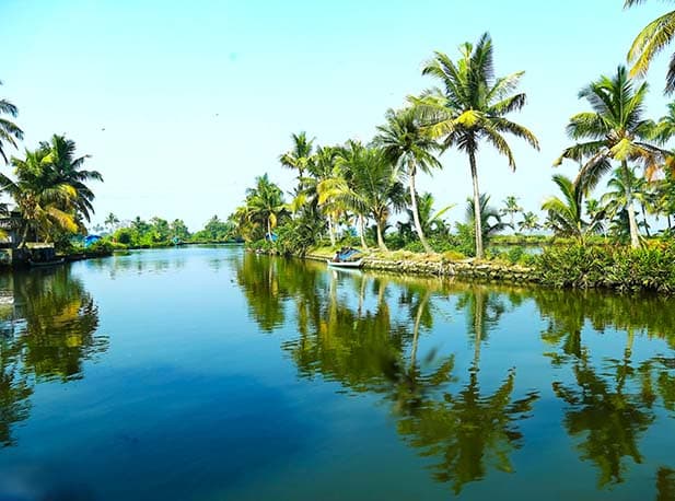 Weekend Getaway to Kerala | Explore the Misty Hills & Serene Backwaters
