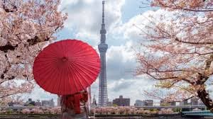 Unveiling Japan | From Tokyo's Iconic Skylines to Osaka's Timeless Sights