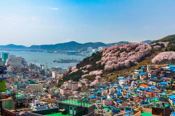 6-Day Seoul & Busan Winter Tour: KTX Bullet Train & Coastal Gems