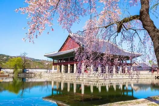 9-Day Ultimate Korea Winter Tour: Seoul, Busan & Jeju Island Discovery