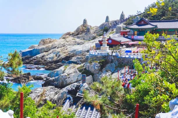 8-Day Korea Winter Ultimate Tour: Seoul, Suwon, Busan & Nami Island