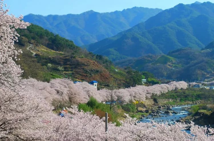 5-Day Seoul Winter Wonderland Tour: Nami Island & Private City Sightseeing