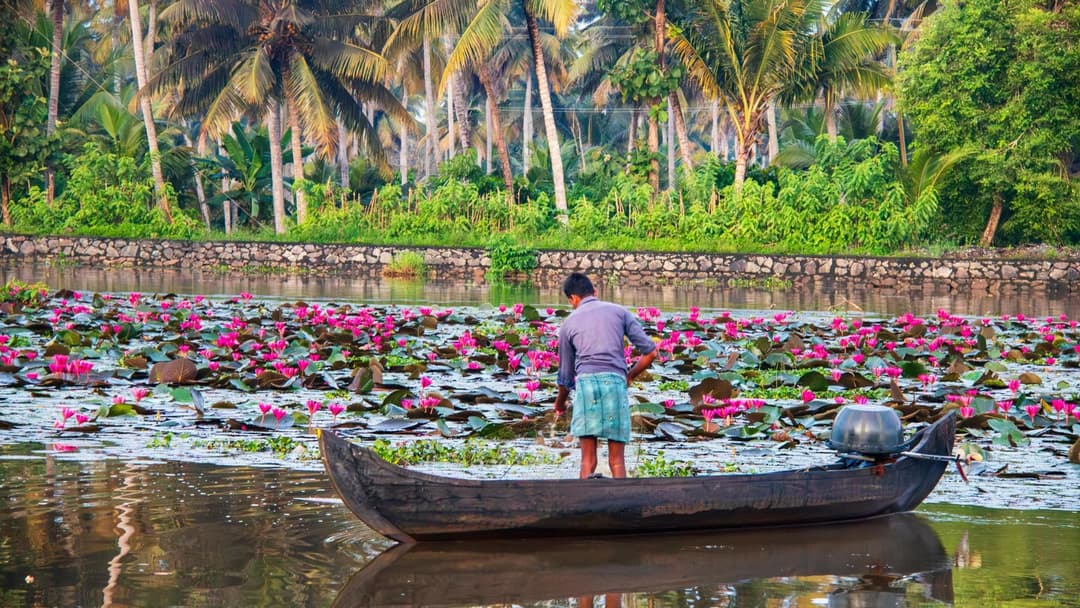 Kerala Group Tour Package 2026 | 7-Day Kerala trip