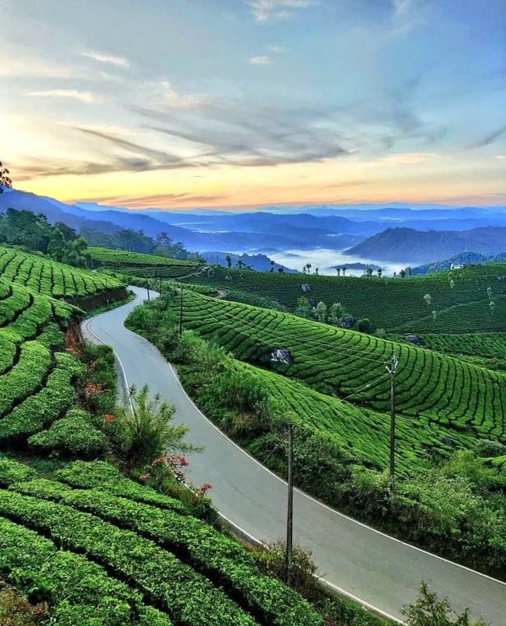 Kerala Group Tour Package 2026 | 7-Day Kerala trip