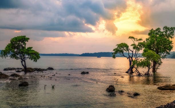 6-Day Andaman Adventure: Port Blair & 3 Nights Havelock