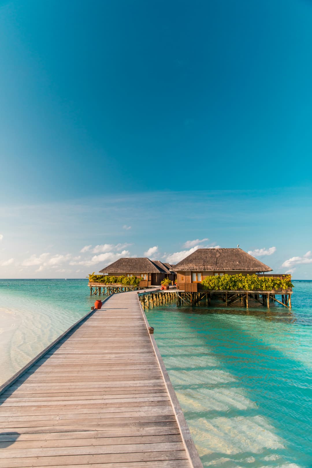 OBLU XPERIENCE Ailafushi: A Tropical Getaway in the Maldives | 2 Nights in Beach Villa & 2 Nights in Water Villa