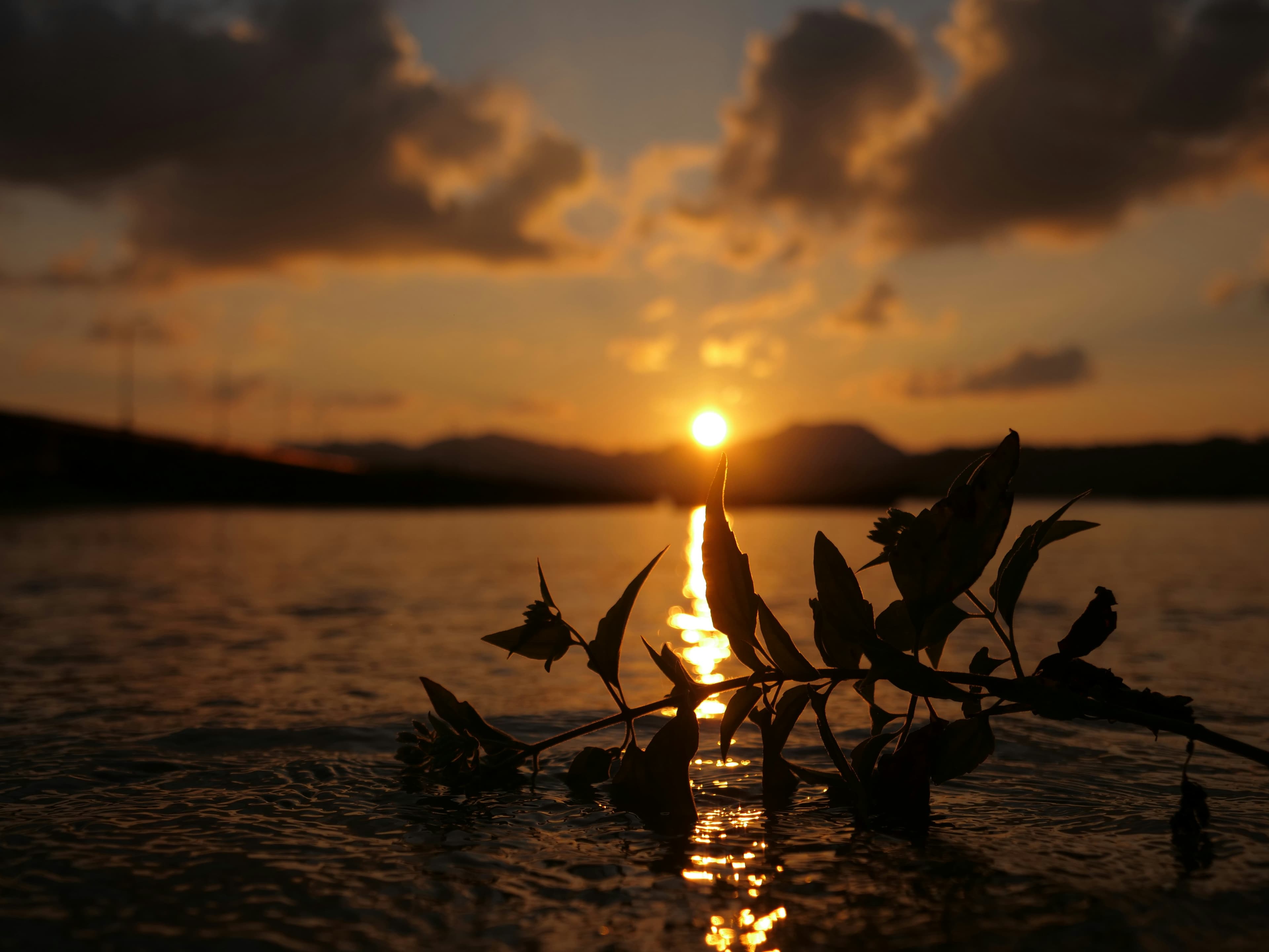 Andaman