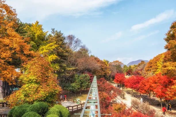 8-Day Korea Winter Ultimate Tour: Seoul, Suwon, Busan & Nami Island