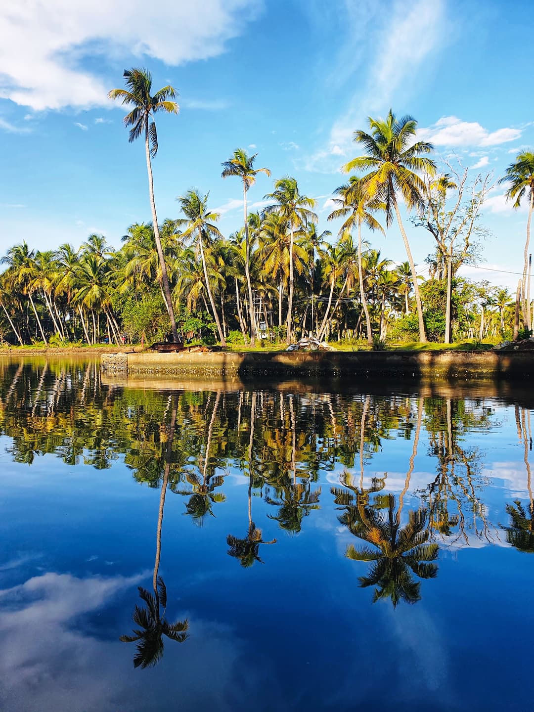 Kerala Tour Package | 7 Days Mist And Beaches, Munnar hills