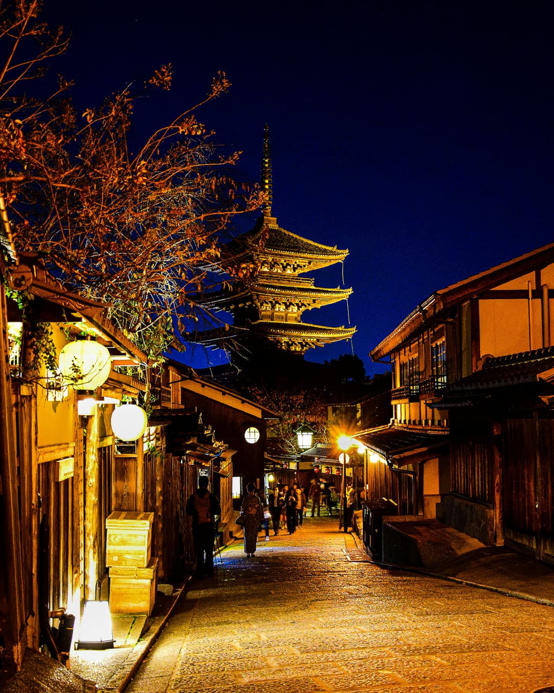 Japan Tour Package 9 Days | Explore Tokyo, Kyoto, Osaka And Mount Fuji
