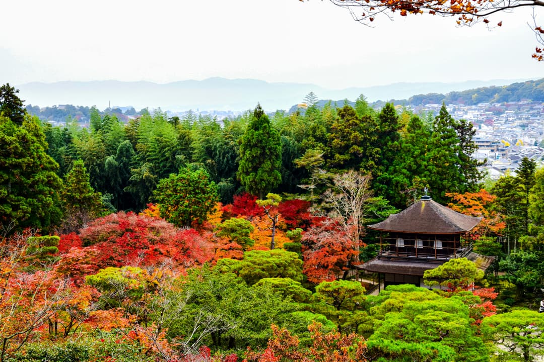 Japan Tour Package 9 Days | Explore Tokyo, Kyoto, Osaka And Mount Fuji