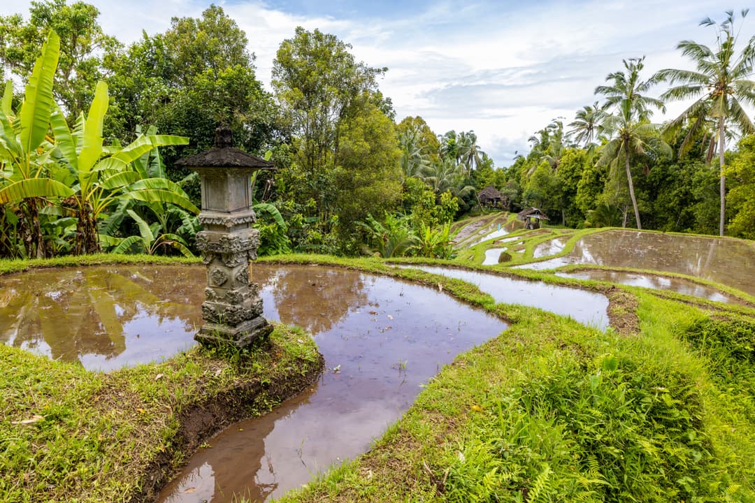 Bali Tour Package from Ahmedabad | 8- Day Island Getaway