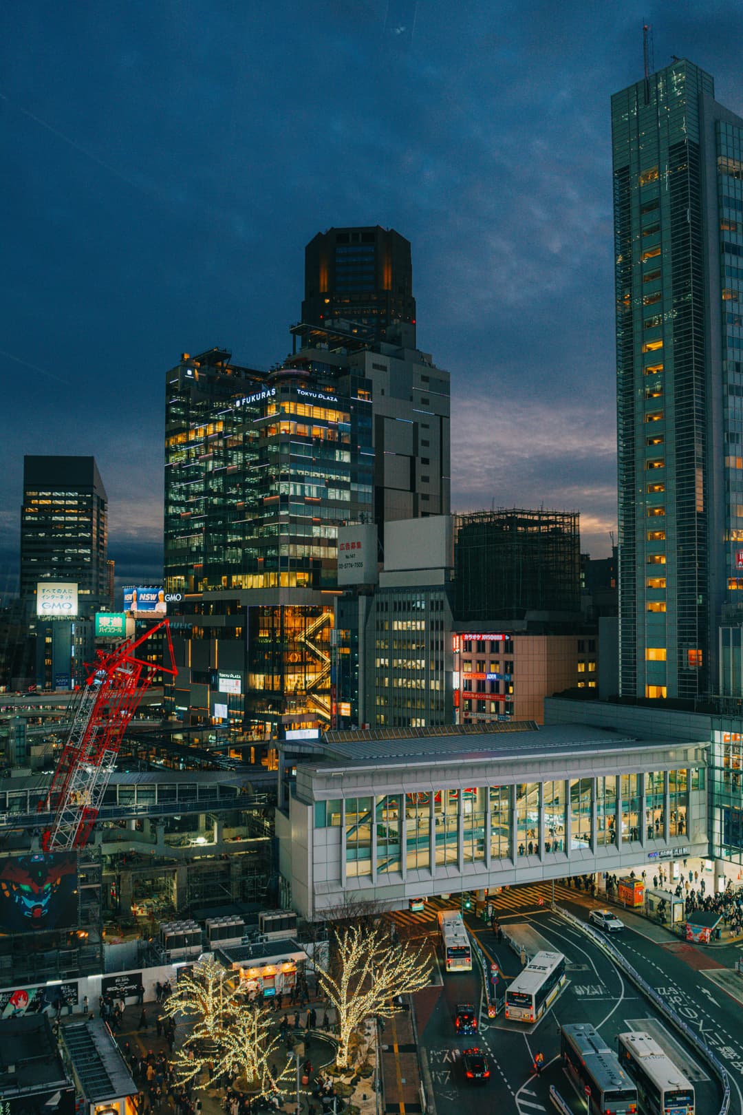 Japan Sakura Tour 2026 | 07 Nights 08 Days Cherry Blossom Trip