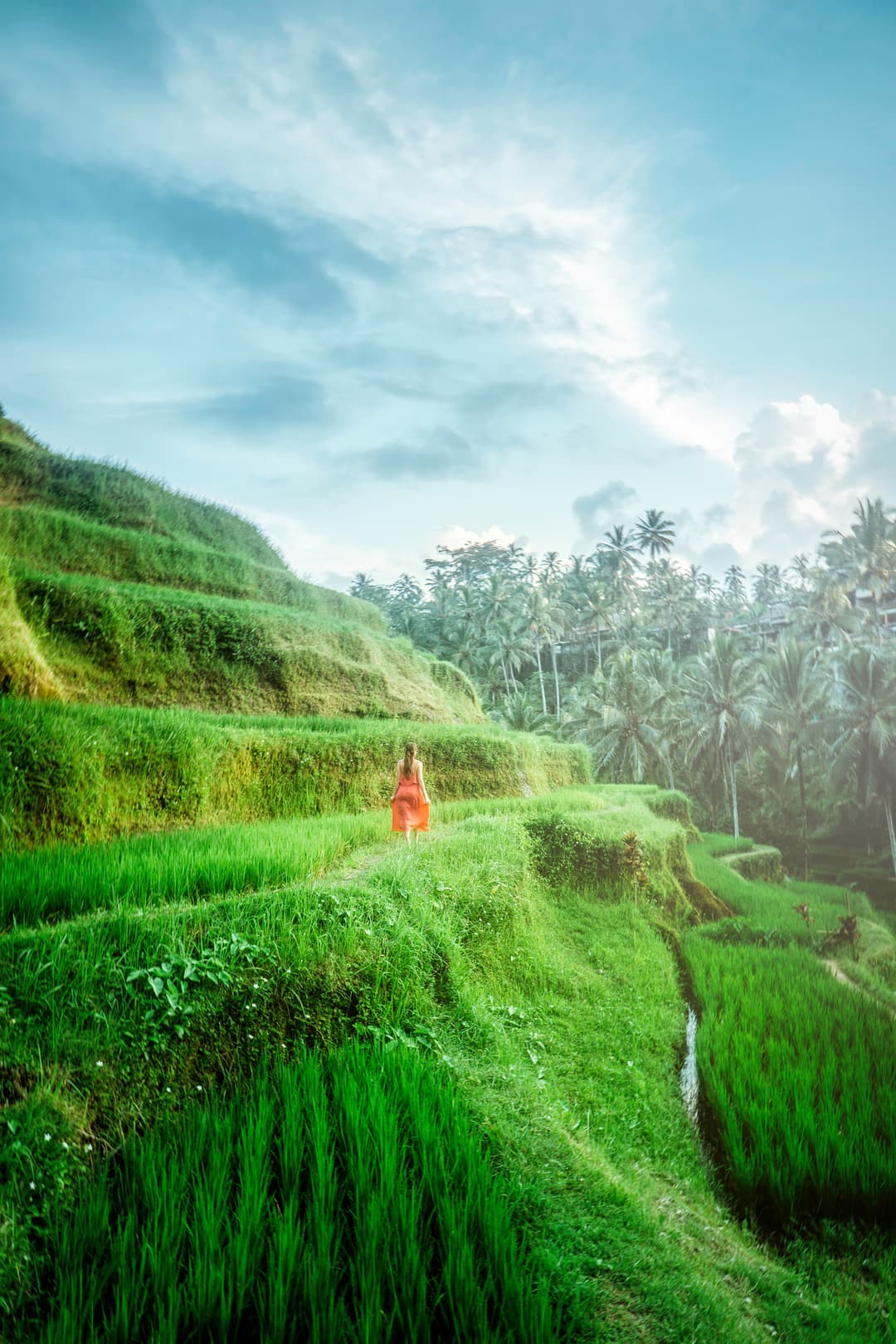 Bali Tour Package 6 Days | Affordable Island Escape