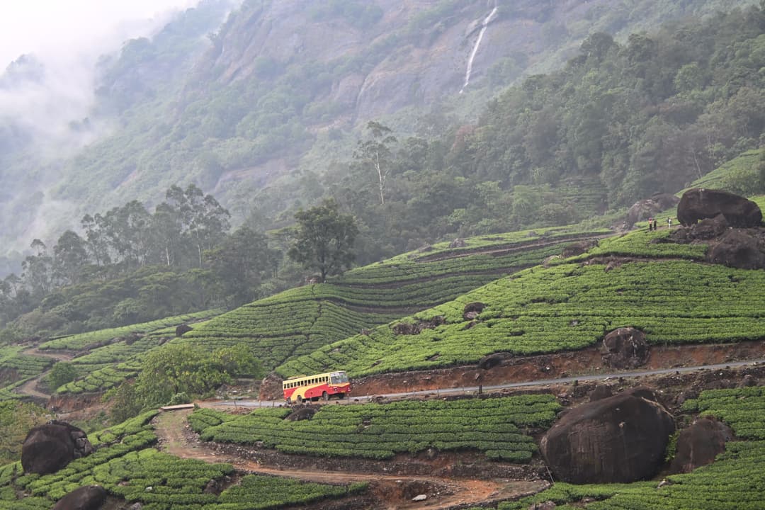Kerala Honeymoon Package 6 Nights 7 Days | Romantic Tour