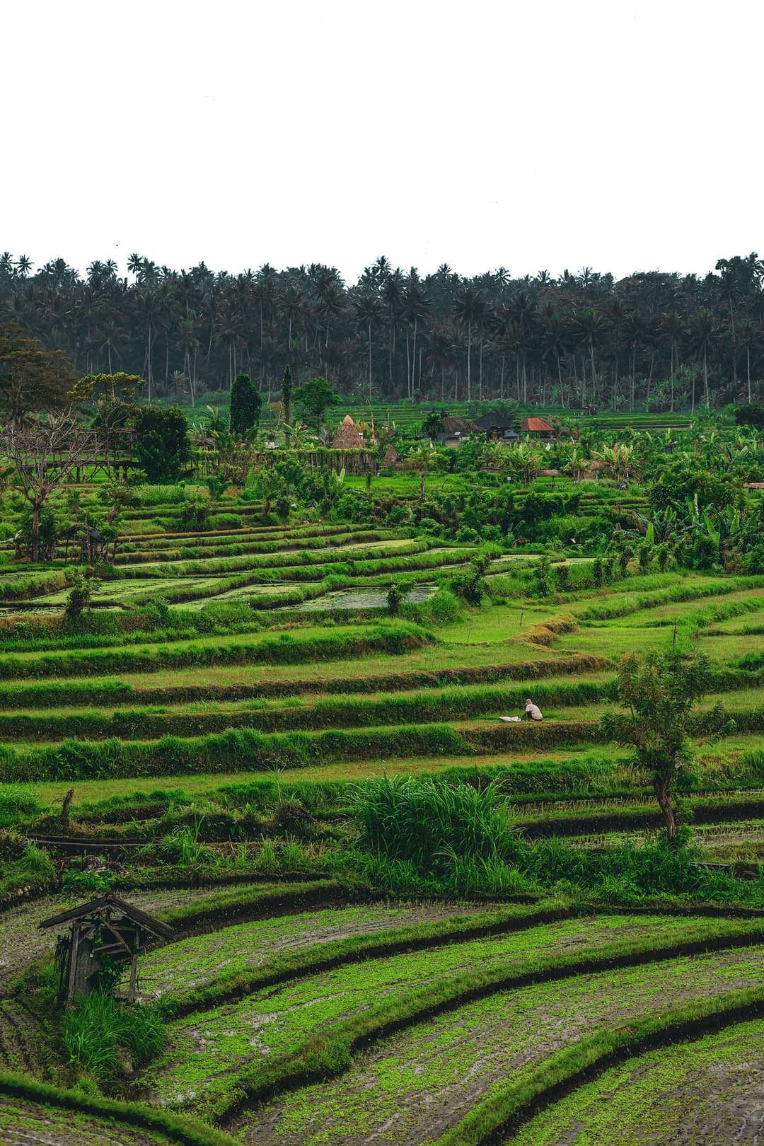 Bali Tour Package from Ahmedabad | 8- Day Island Getaway