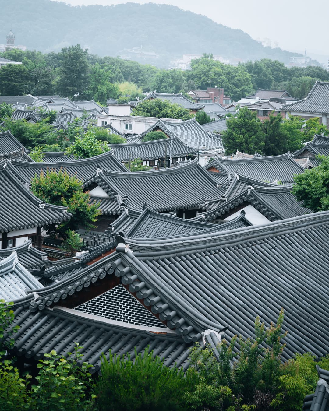 South Korea Tour Package | 8 Days Seoul, Busan & Jeju Trip