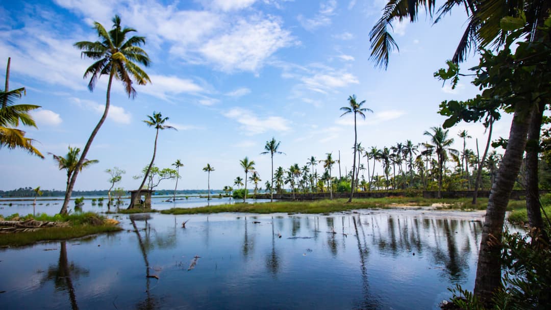 Kerala Tour Package | 7 Days Mist And Beaches, Munnar hills