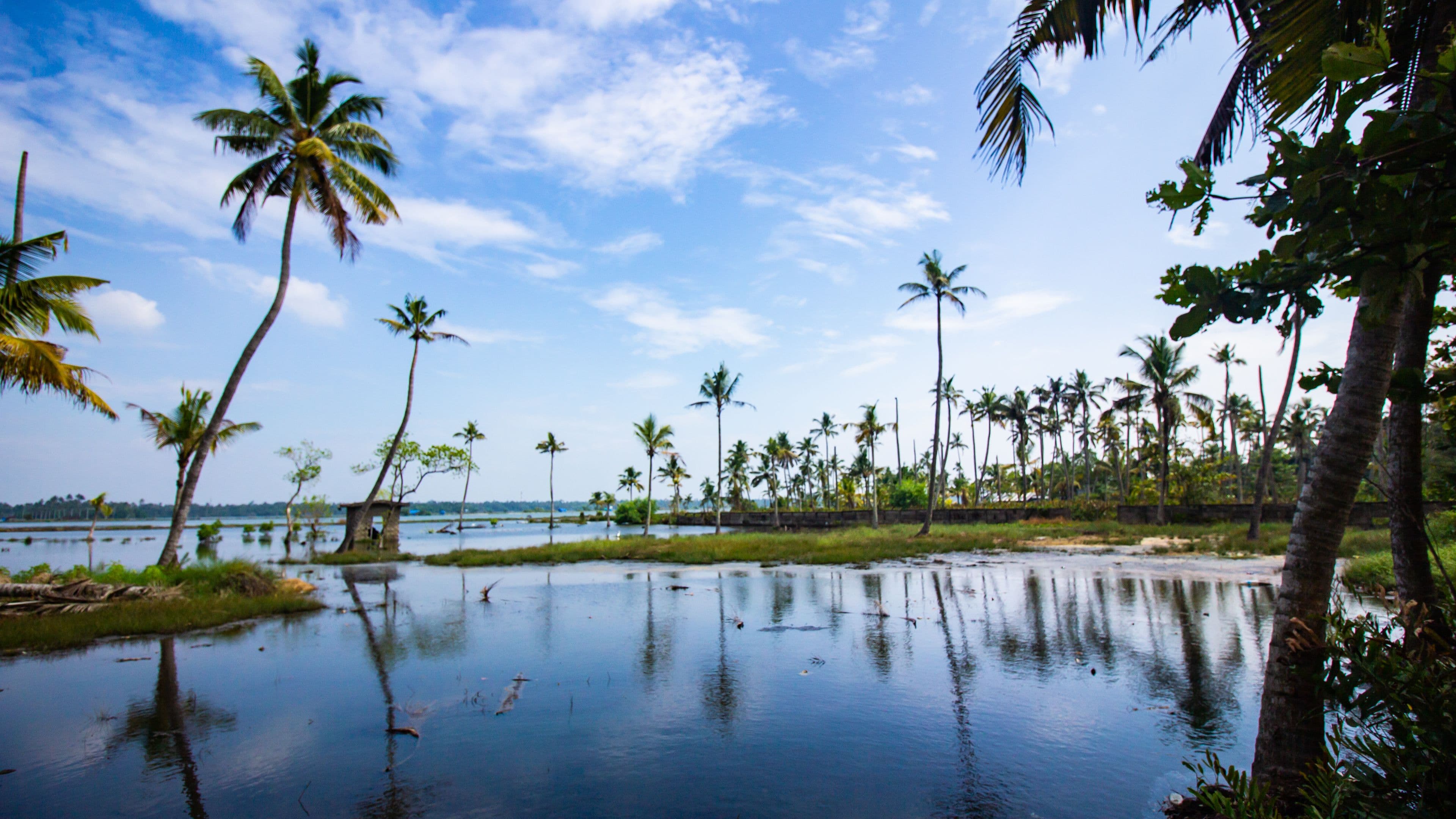 Kerala Tour Package | 7 Days Mist And Beaches, Munnar hills - kerala tour package from  bhopal featuring India