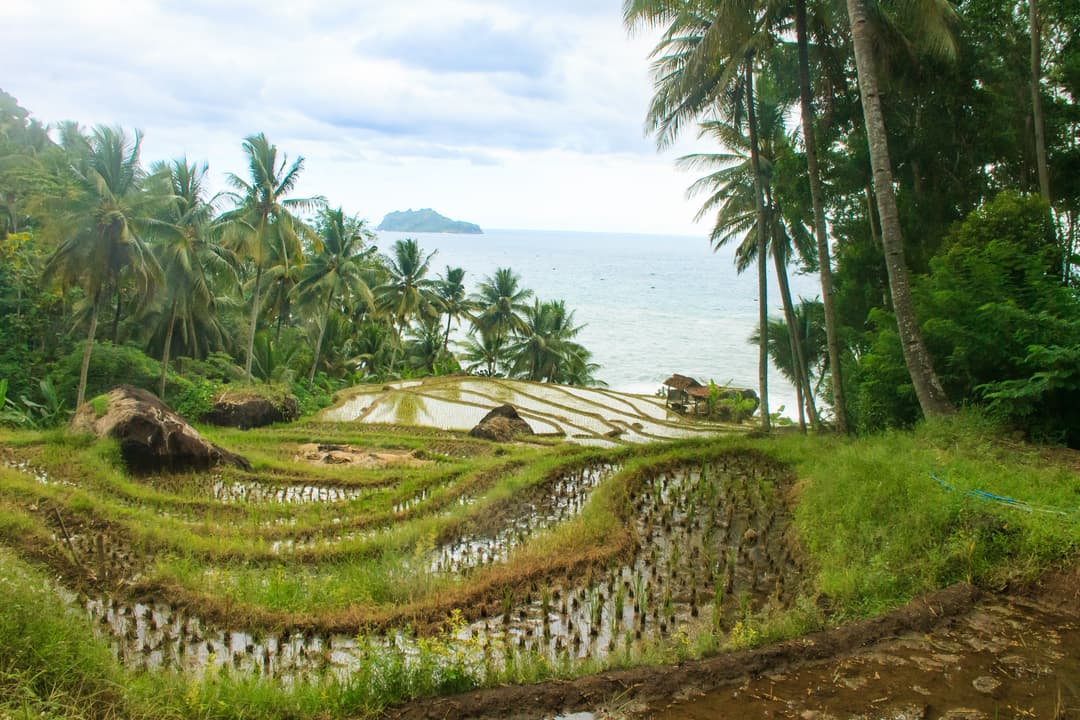 Bali Tour Package from Ahmedabad | 8- Day Island Getaway