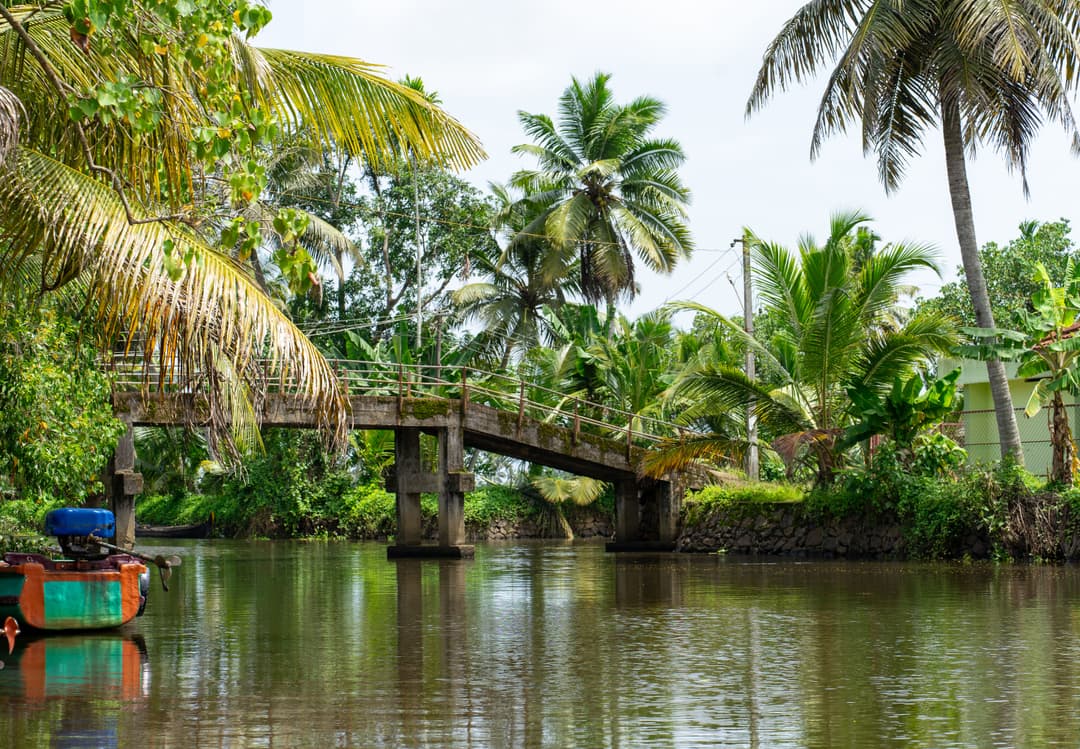 Kerala Tour Package | 7 Days Mist And Beaches, Munnar hills