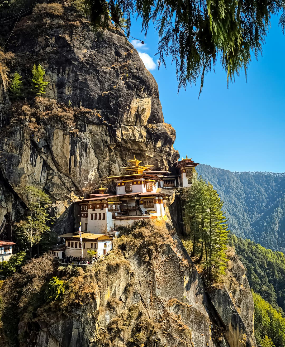 Bhutan Tour Package | 7 Days Summer 2026 Himalayan Experience