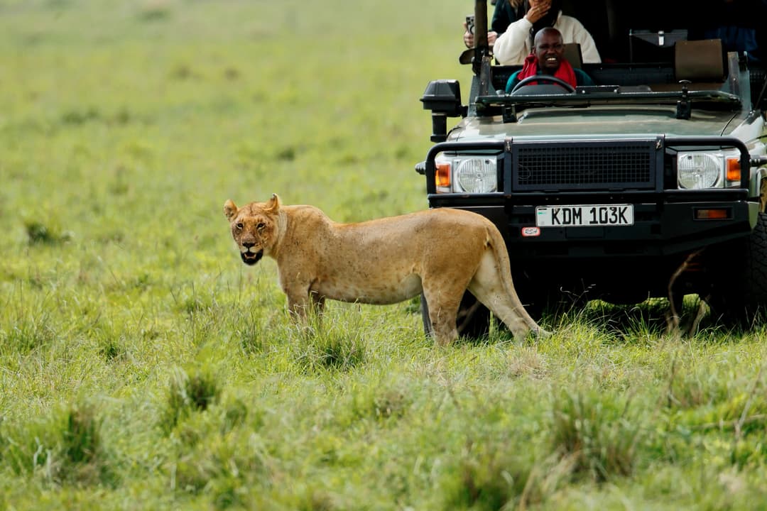 Kempinski Kenya Safari | 6-Day Nairobi and Masai Mara Tour