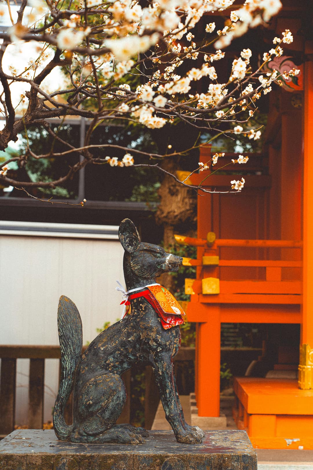 Japan Sakura Tour 2026 | 07 Nights 08 Days Cherry Blossom Trip