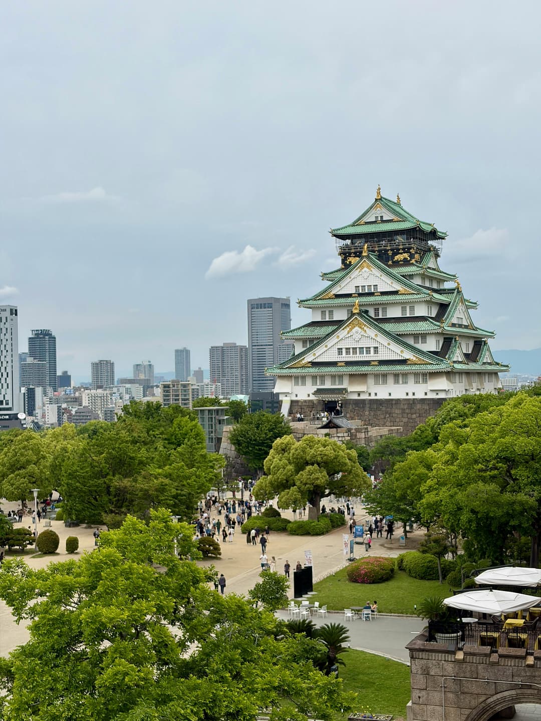 Japan Tour Package 9 Days | Explore Tokyo, Kyoto, Osaka And Mount Fuji