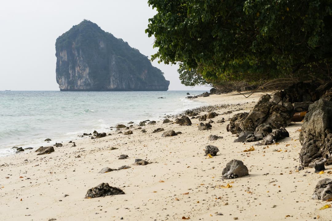 Thailand Vacation 2026 | 5 Days in Pattaya and Bangkok Package