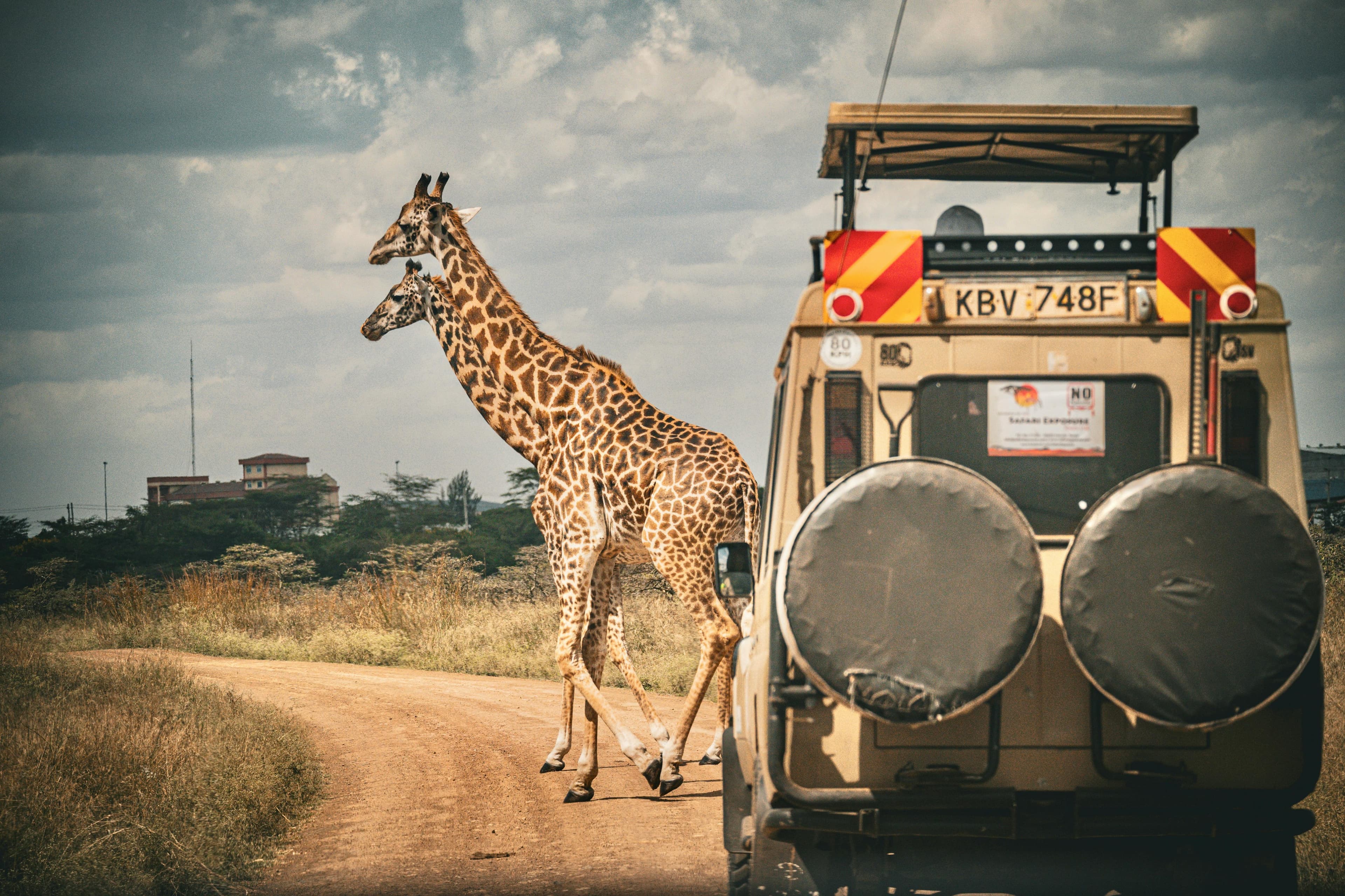 Kempinski Kenya Safari | 6-Day Nairobi and Masai Mara Tour - kenya tour package from  pune featuring Kenya
