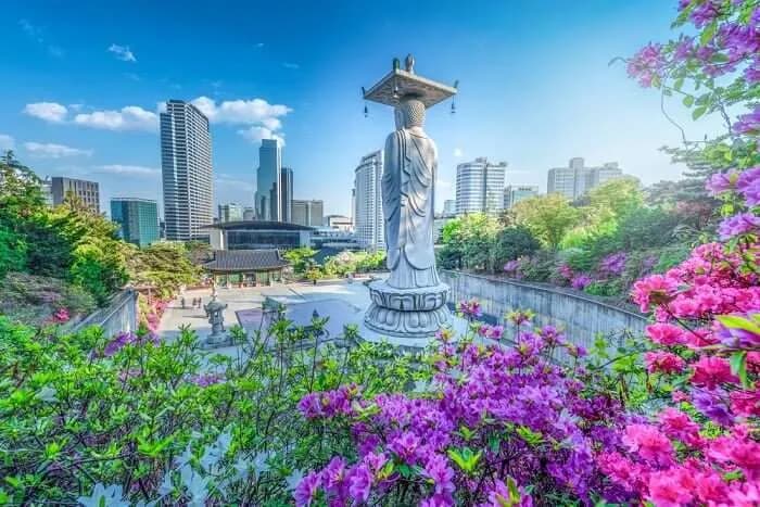 8-Day Korea Winter Ultimate Tour: Seoul, Busan & UNESCO Gyeongju Heritage