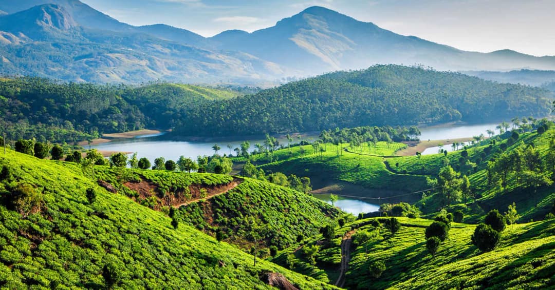 Weekend Getaway to Kerala | Explore the Misty Hills & Serene Backwaters