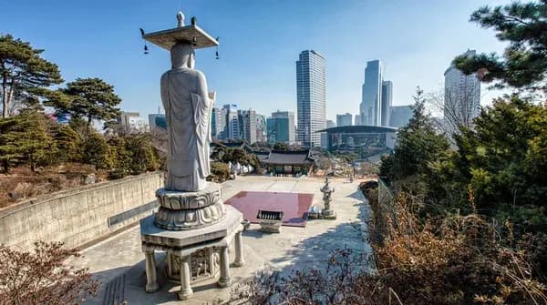 6-Day Korea Winter Explorer: Seoul, Suwon Fortress & Nami Island Private Tour