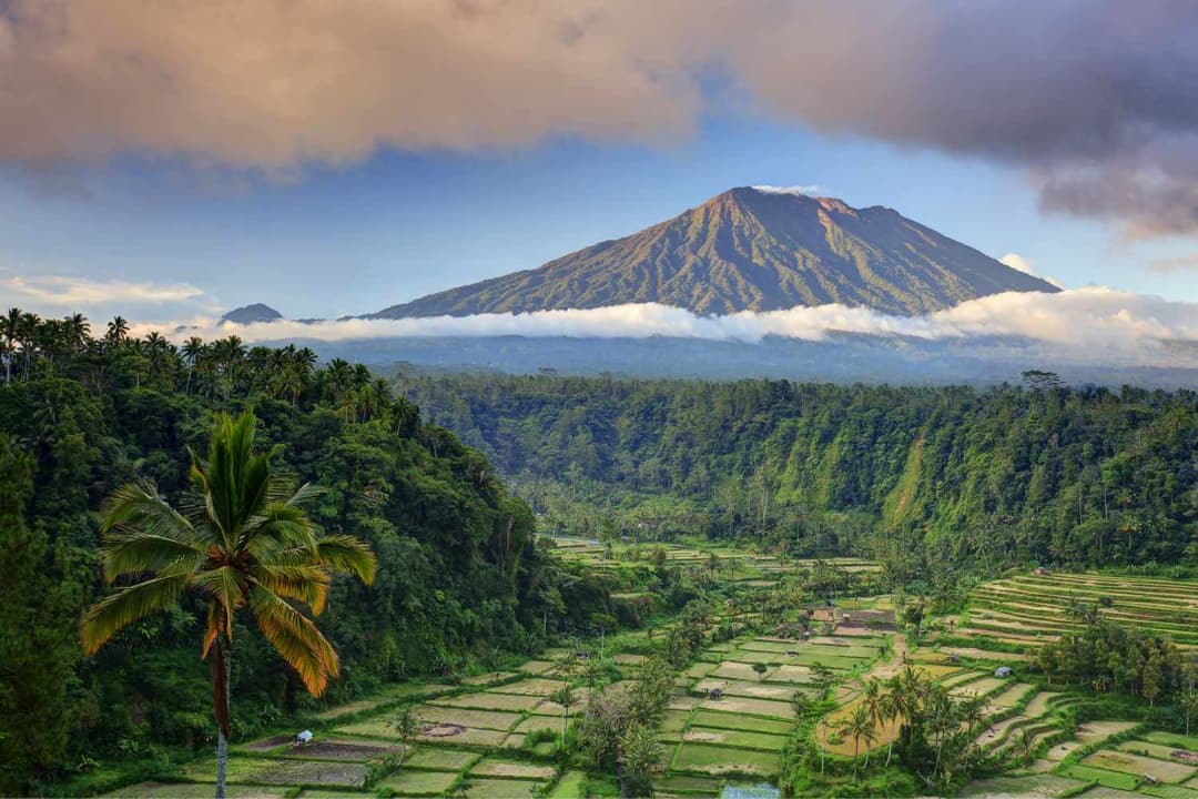 Discover Bali: Temples, Rice Terraces, and Tropical Beaches