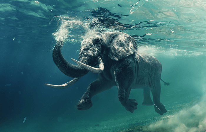 andaman Tour Highlight 4